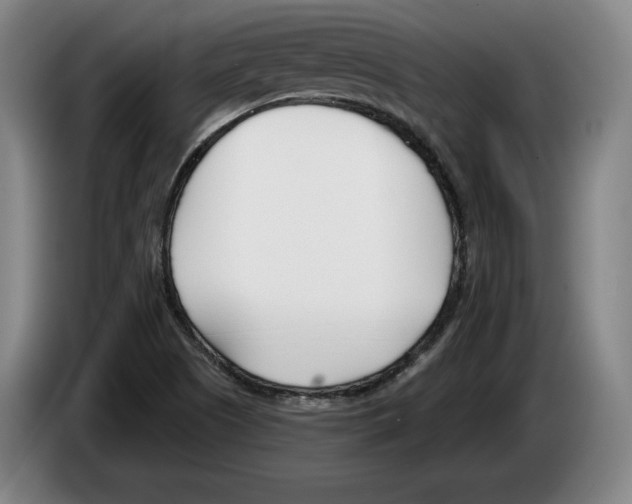 X0000083531505200703091501