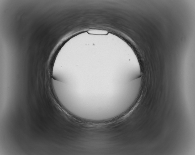 X0000083531506200703091501