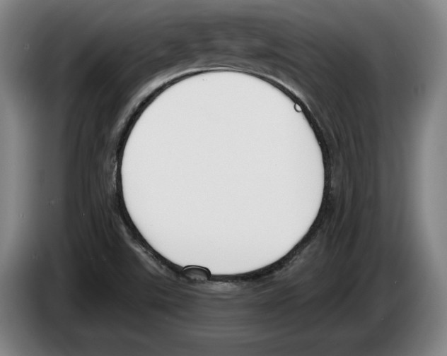 X0000083531507200703091501