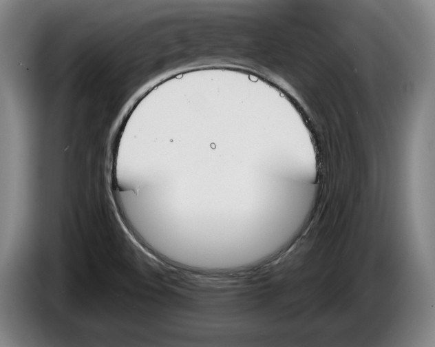 X0000083531508200703091501