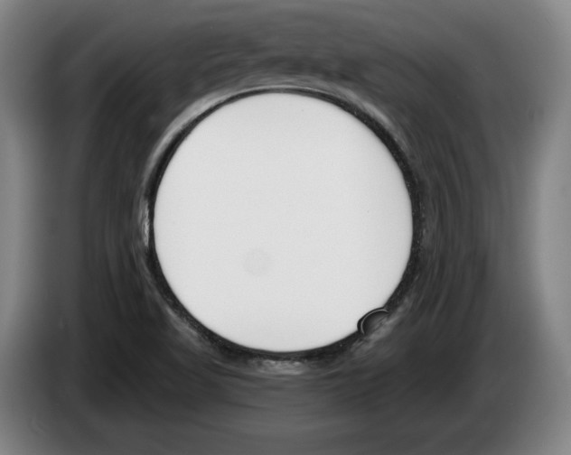 X0000083531509200703091501