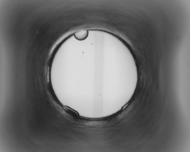 X0000083531510200703091501