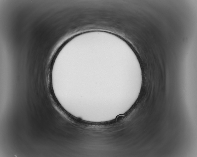 X0000083531511200703091501