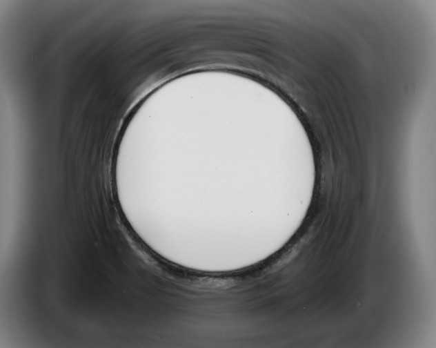 X0000083531513200703091501