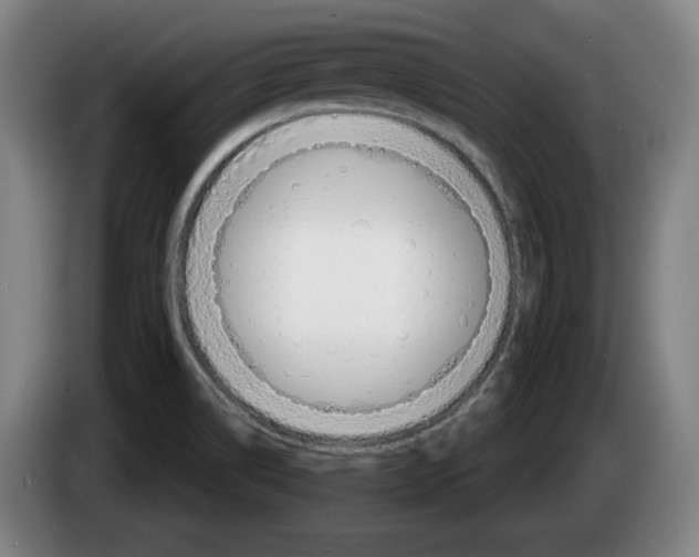 X0000083531514200703091501