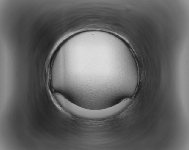 X0000083531515200703091501