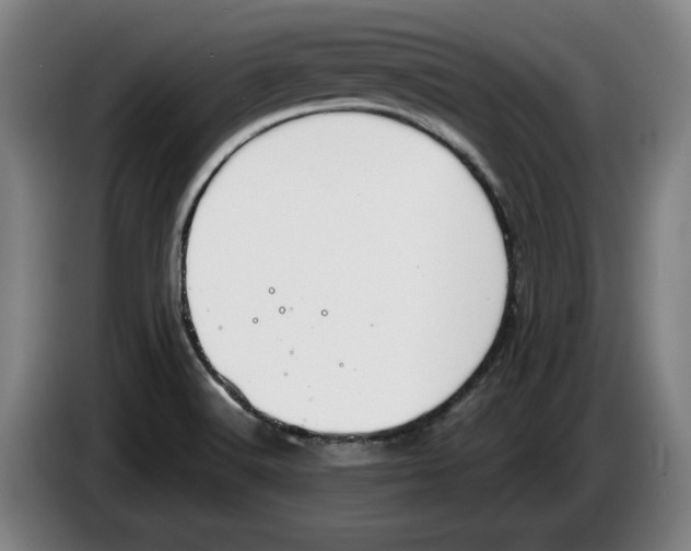 X0000083531516200703091501