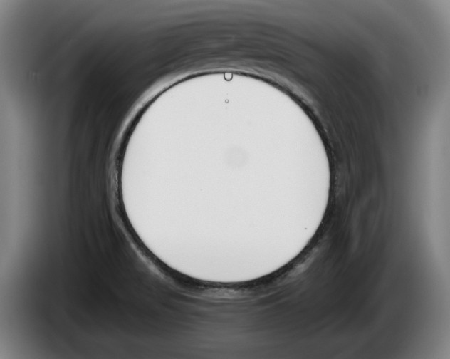 X0000083531517200703091501