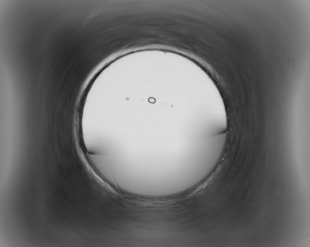 X0000083531518200703091501