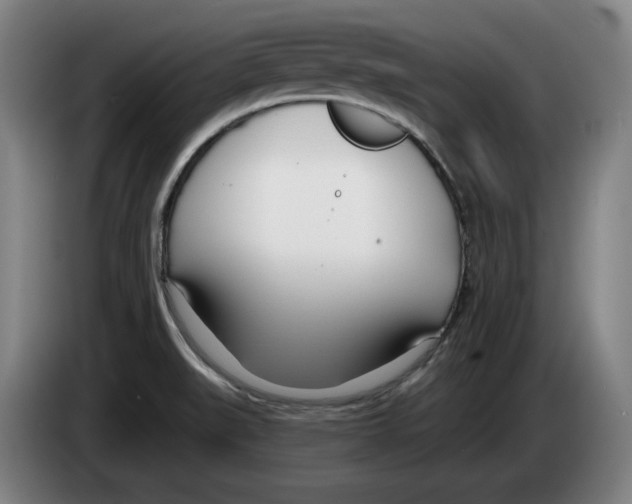 X0000083531519200703091501