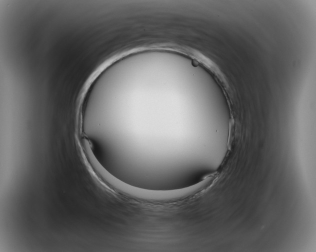 X0000083531520200703091501