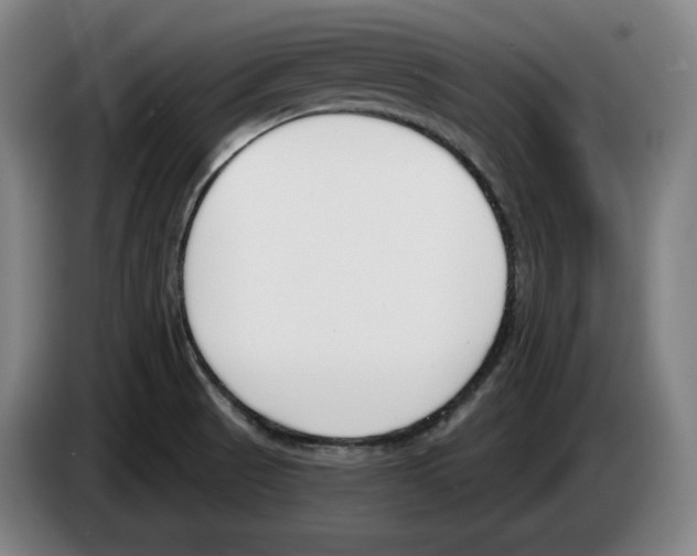 X0000083531521200703091501