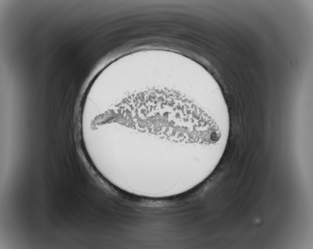 X0000083531522200703091501