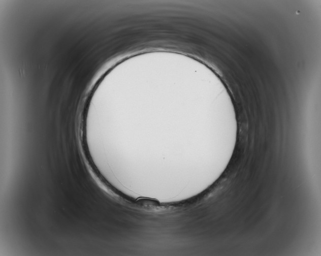 X0000083531523200703091501