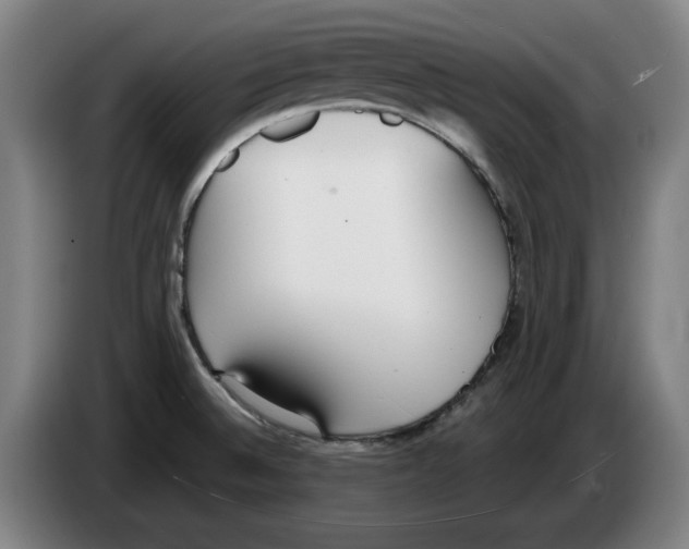 X0000083531524200703091501