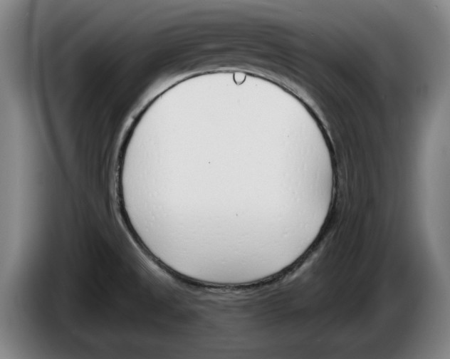 X0000083531525200703091501