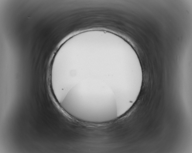 X0000083531526200703091501