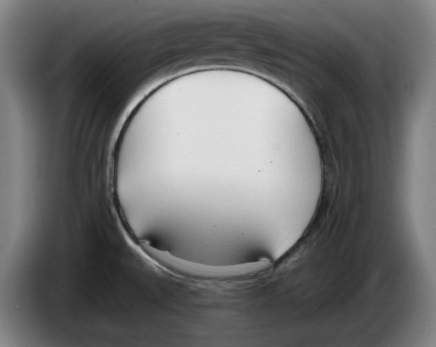 X0000083531527200703091501