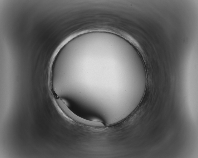 X0000083531528200703091501