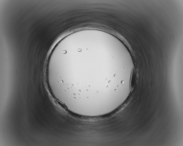 X0000083531530200703091501