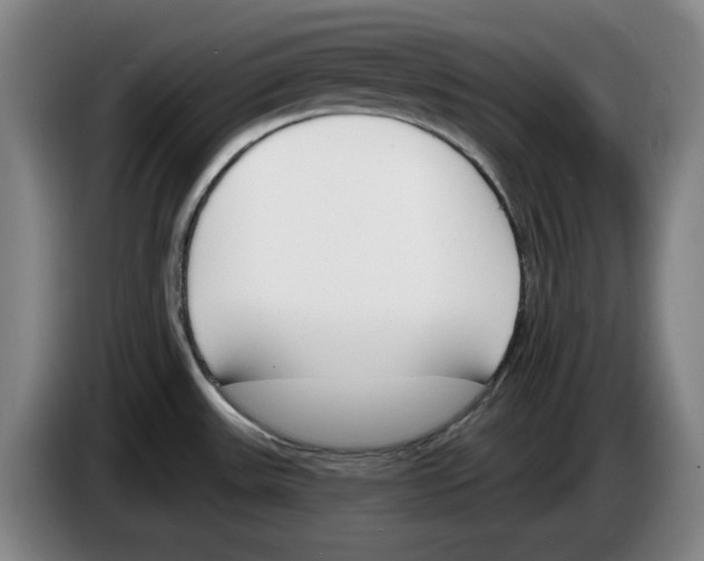 X0000083531531200703091501