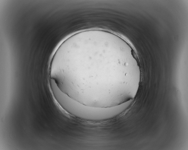 X0000083531532200703091501