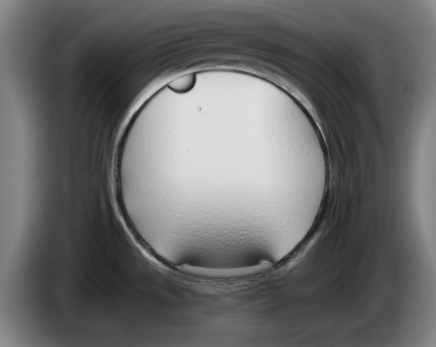 X0000083531533200703091501