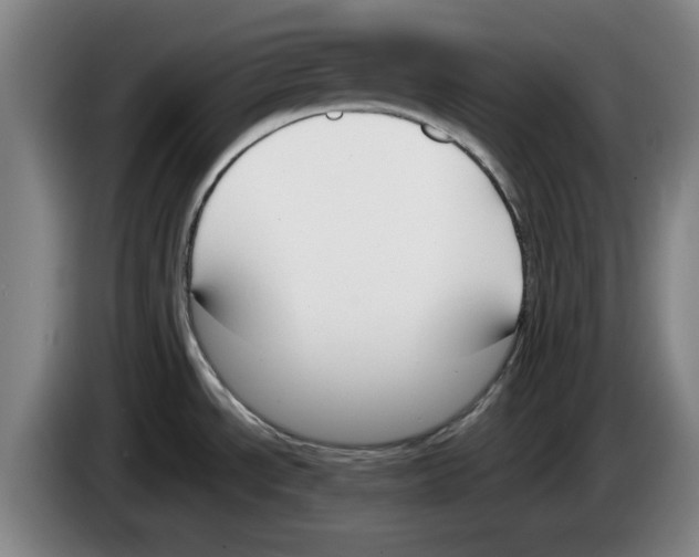 X0000083531534200703091501