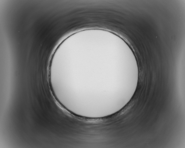 X0000083531535200703091501