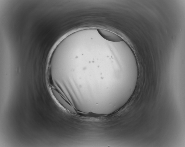 X0000083531536200703091501