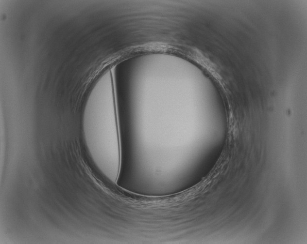 X0000083550013200702090801