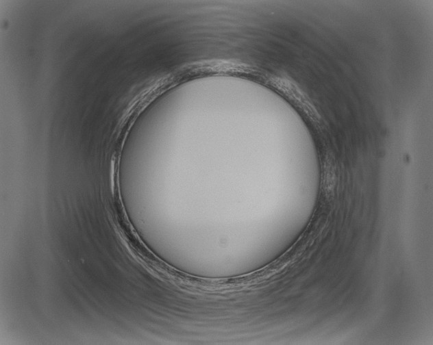 X0000083550014200702090801
