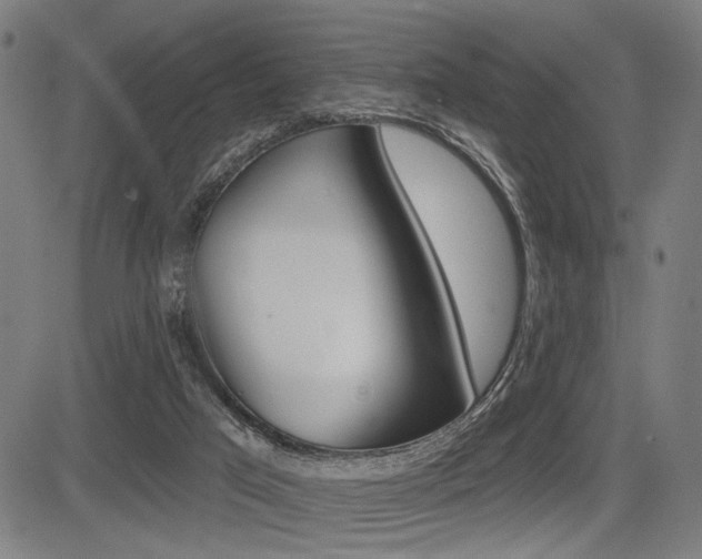 X0000083550017200702090801