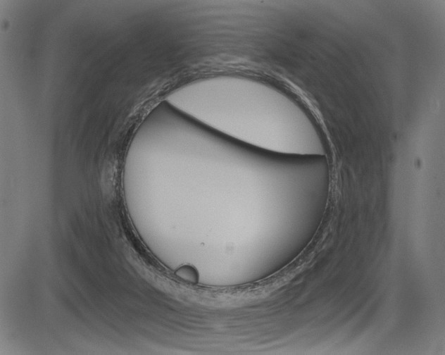 X0000083550018200702090801