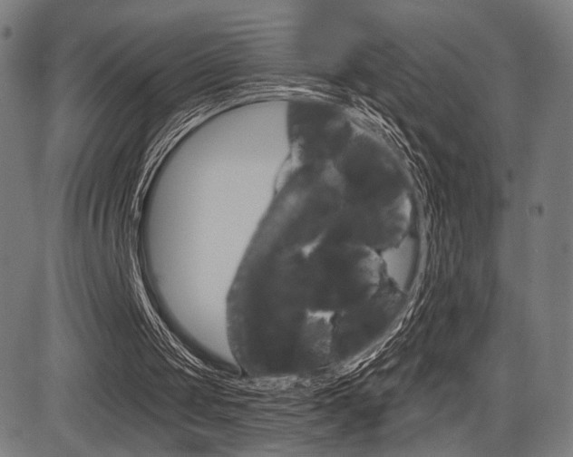 X0000083550049200702090800
