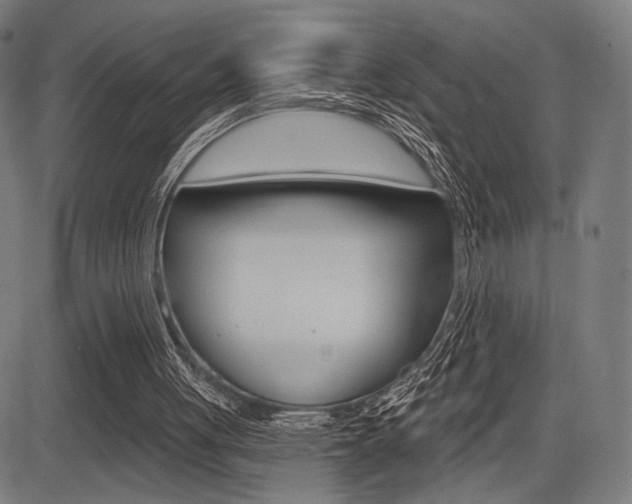 X0000083550051200702090800