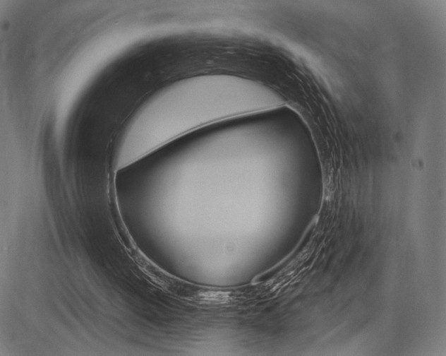 X0000083550052200702090800