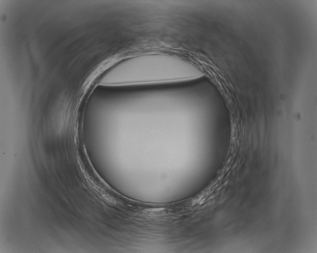 X0000083550054200702090800