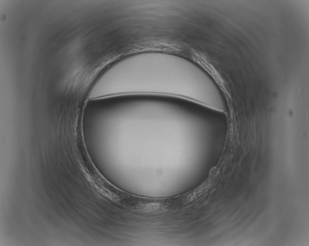 X0000083550058200702090800