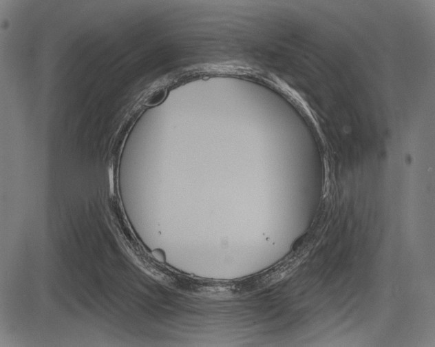 X0000083550061200702090800