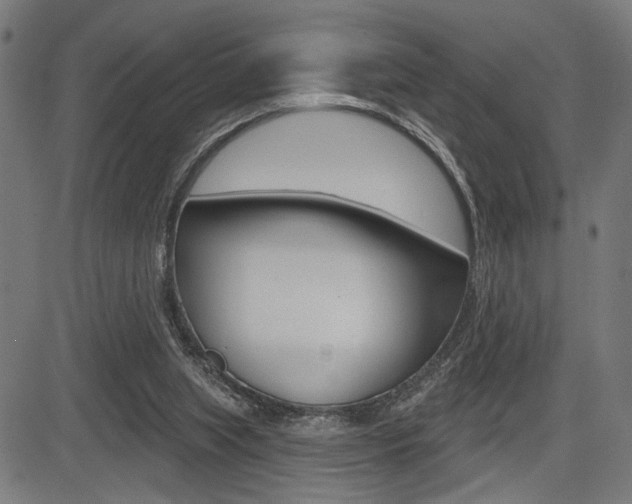 X0000083550063200702090800