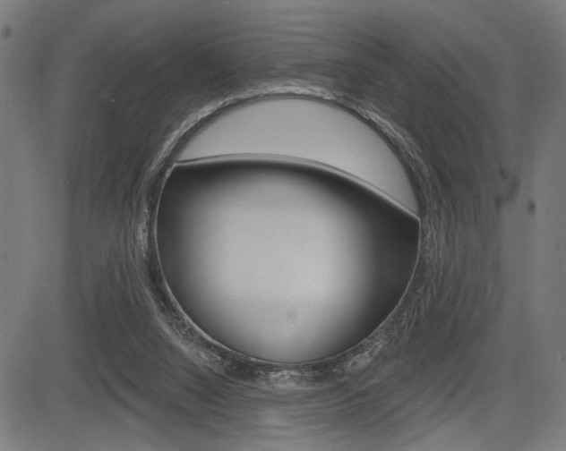 X0000083550064200702090800