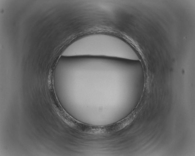 X0000083550065200702090800