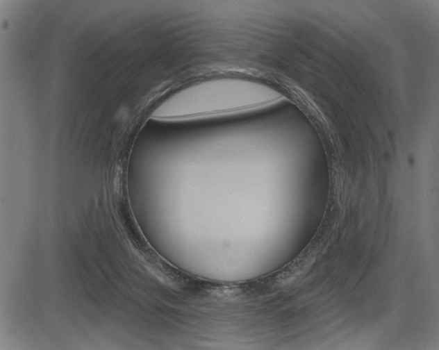 X0000083550071200702090800
