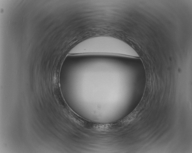 X0000083550084200702090800