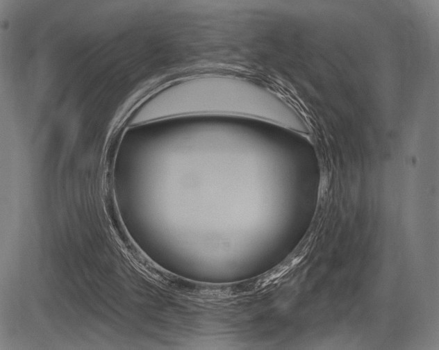X0000083550101200702090800