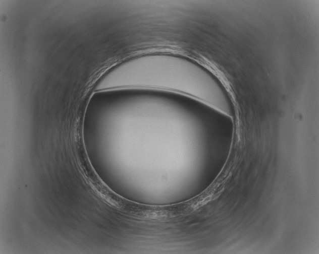 X0000083550105200702090800