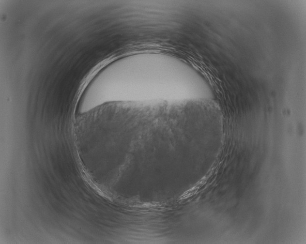X0000083550147200702090758