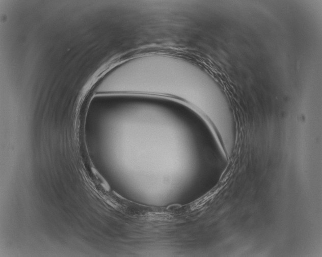 X0000083550150200702090758