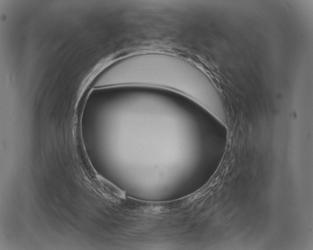 X0000083550152200702090758